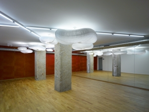 studio de yoga p&acirc;quis gen&egrave;ve